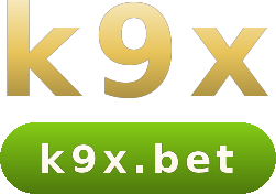 k9x logo